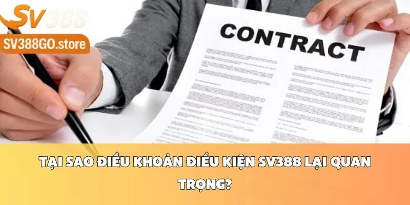 Tại Sao Điều Khoản Điều Kiện SV388 Lại Quan Trọng?