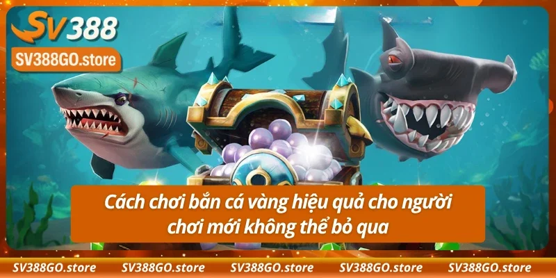 Cách chơi bắn cá vàng hiệu quả cho người chơi mới không thể bỏ qua