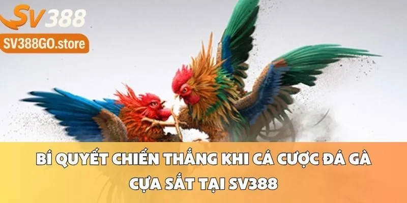 Bí Quyết Chiến Thắng Khi Cá Cược Đá Gà Cựa Sắt Tại SV388