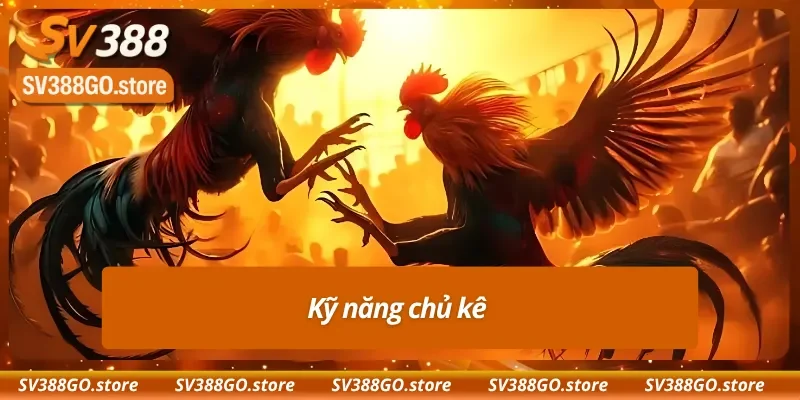 Kinh nghiệm của sư kê quyết định trực tiếp đến kèo Meron 